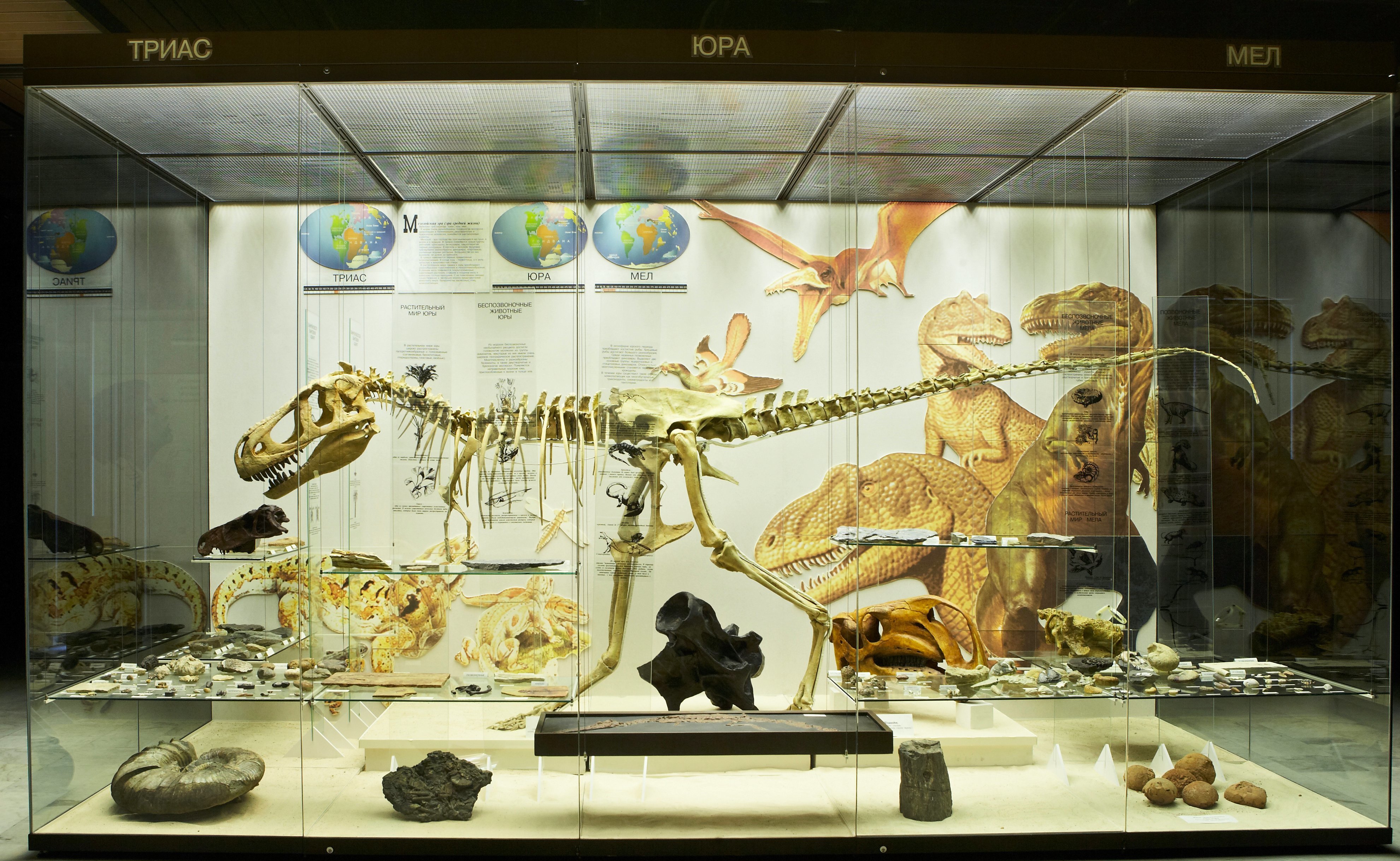 Квест по музею: Прикоснись к науке!